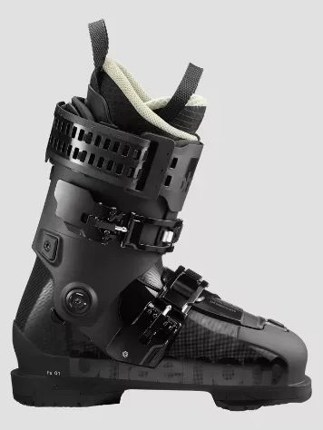 Phaenom Fs 01 120